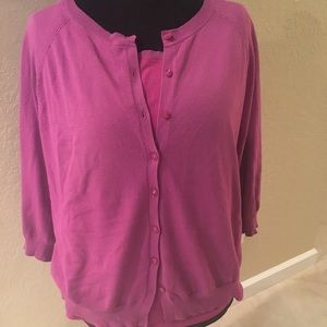 Beautiful Plum Ann Taylor Tank & Sweater